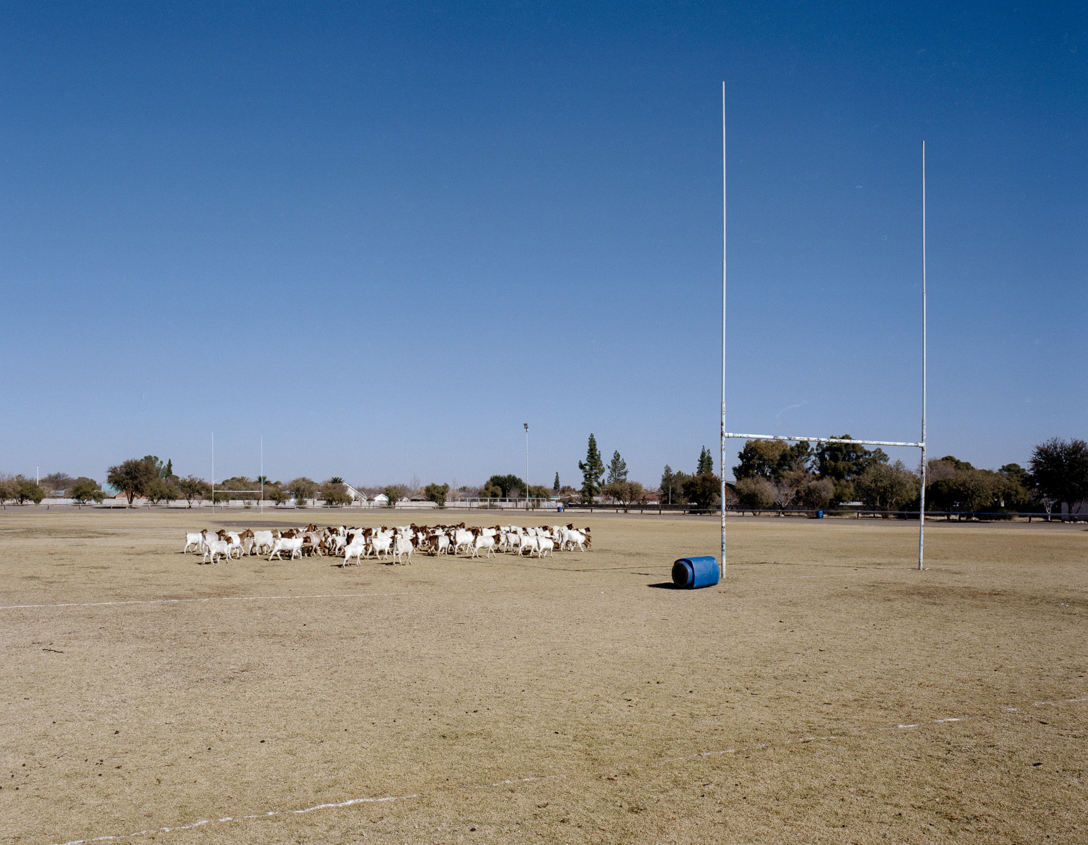 De Aar NC 36