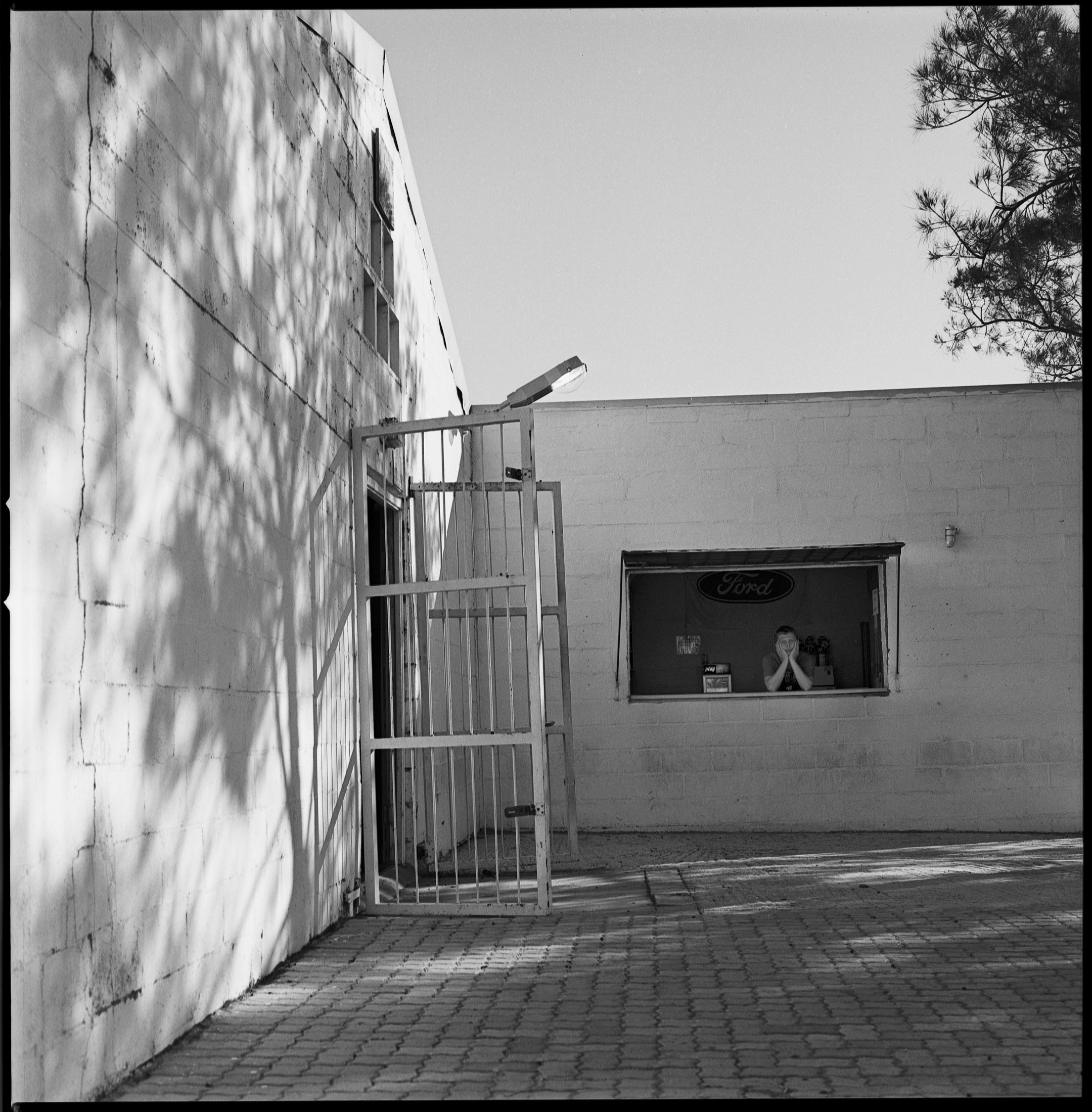 Eat Crow Kraaifomtein 15