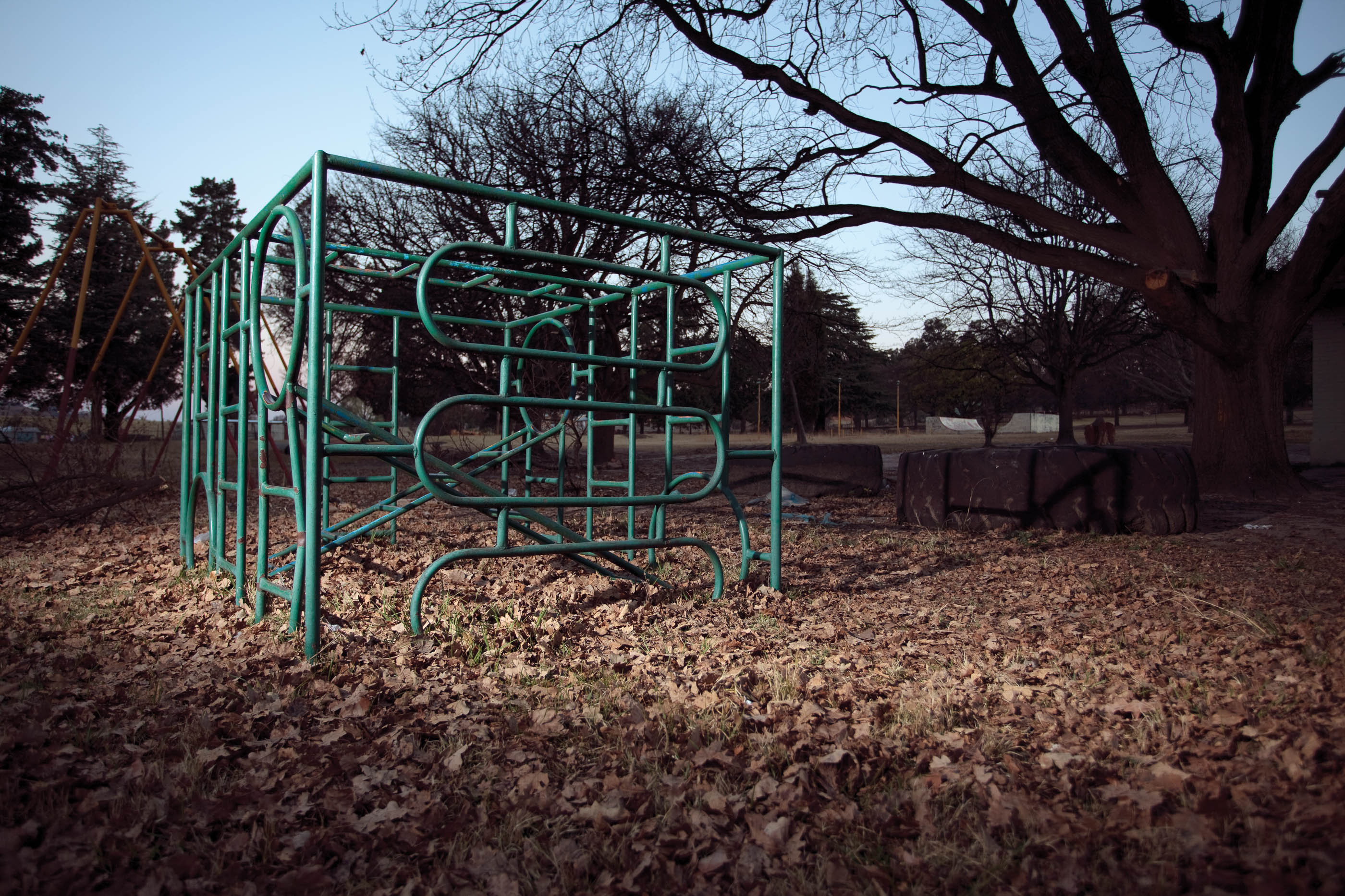 Coronation Park MG 6367 Klimraam 2