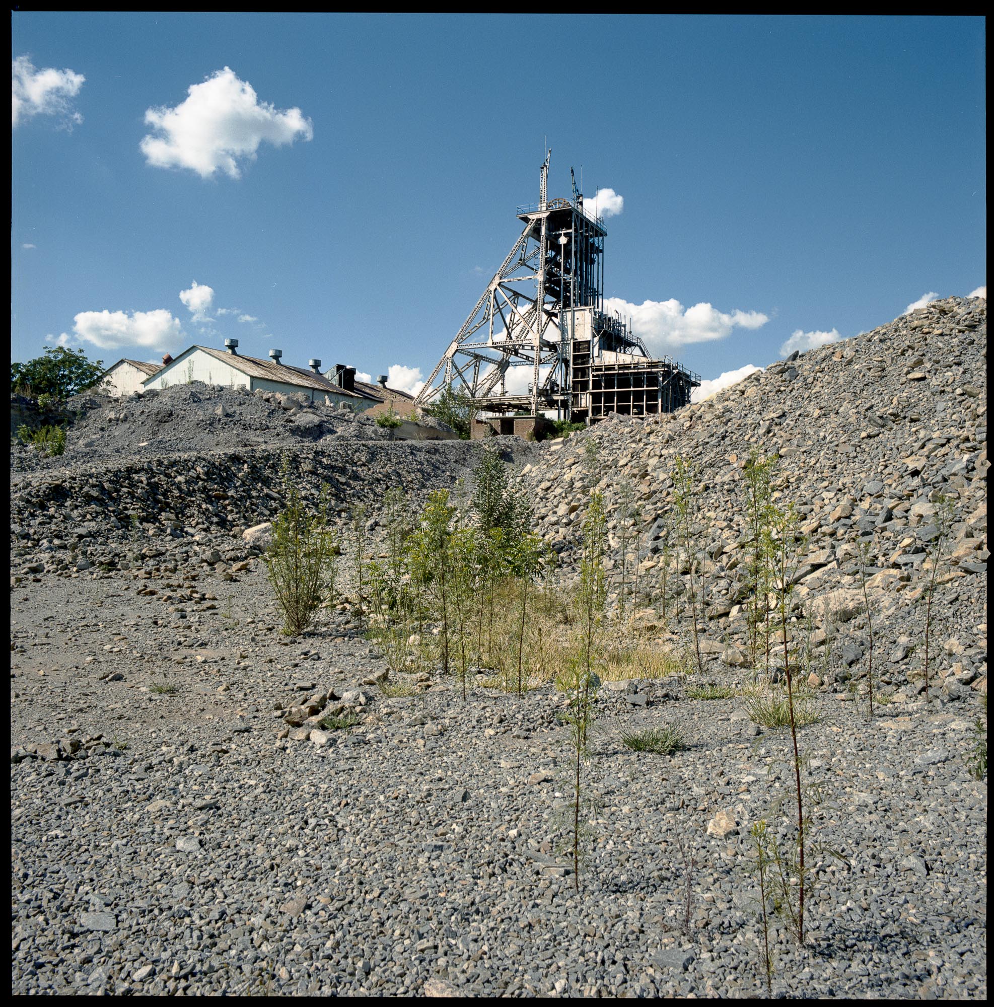 Blyvooruitzicht 5