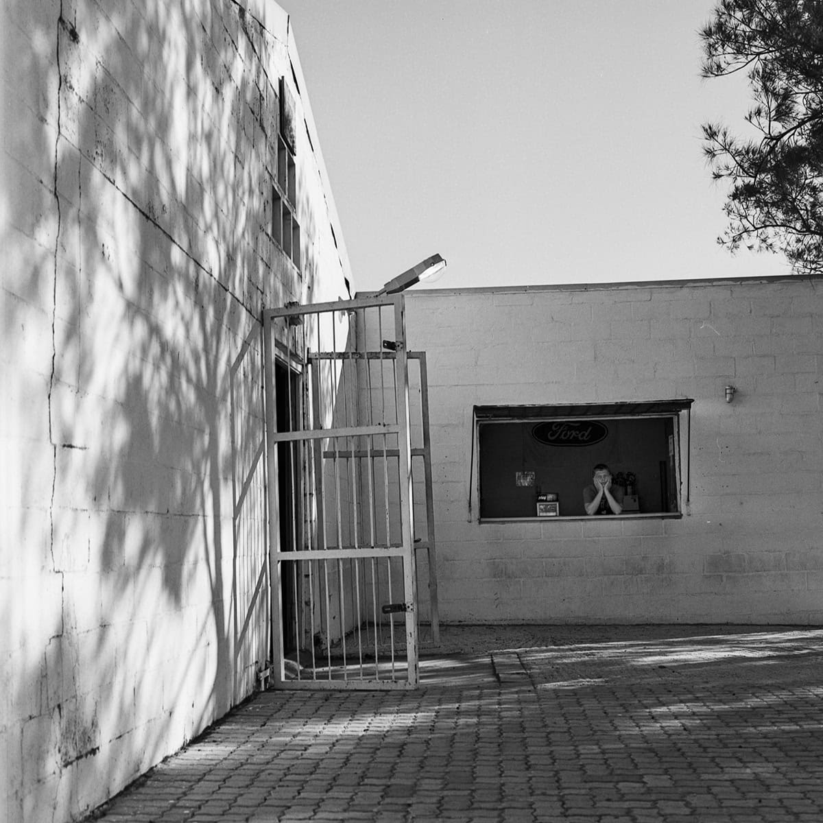 Eat Crow, Kraaifontein — frame 09